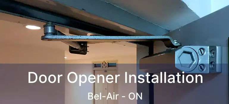 Door Opener Installation Bel-Air - ON