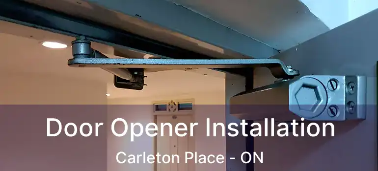 Door Opener Installation Carleton Place - ON