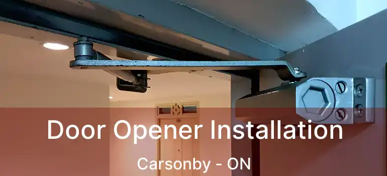  Door Opener Installation Carsonby - ON