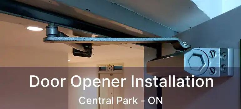Door Opener Installation Central Park - ON