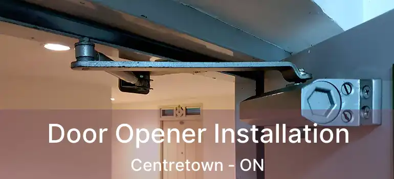  Door Opener Installation Centretown - ON