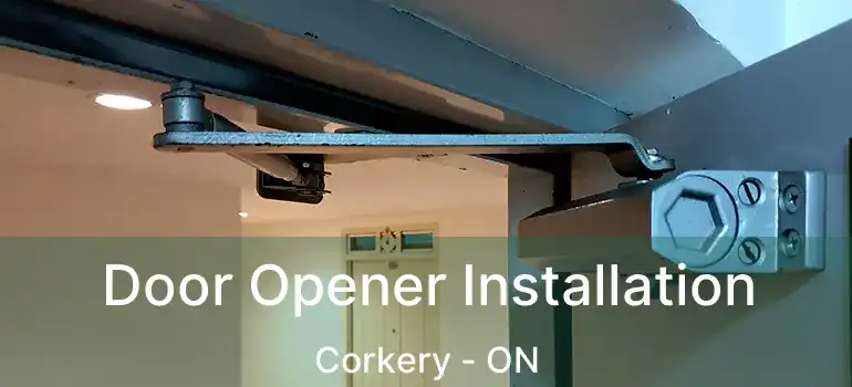 Door Opener Installation Corkery - ON