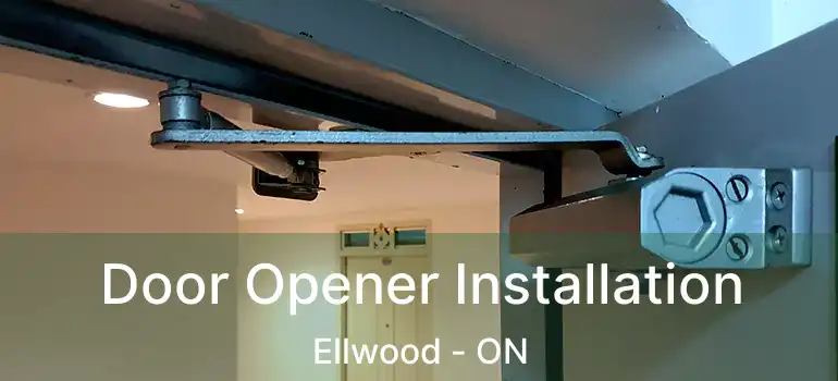 Door Opener Installation Ellwood - ON