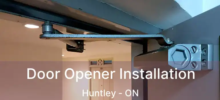 Door Opener Installation Huntley - ON
