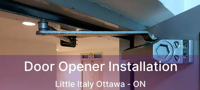  Door Opener Installation Little Italy Ottawa - ON