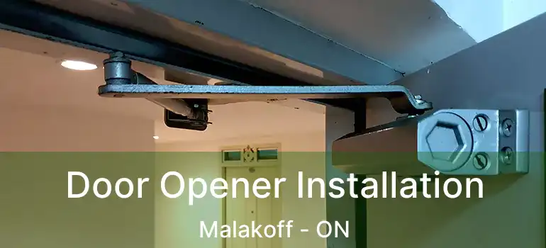  Door Opener Installation Malakoff - ON