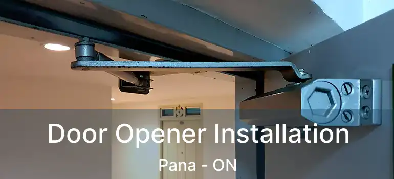 Door Opener Installation Pana - ON