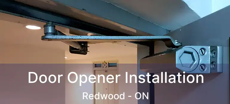 Door Opener Installation Redwood - ON