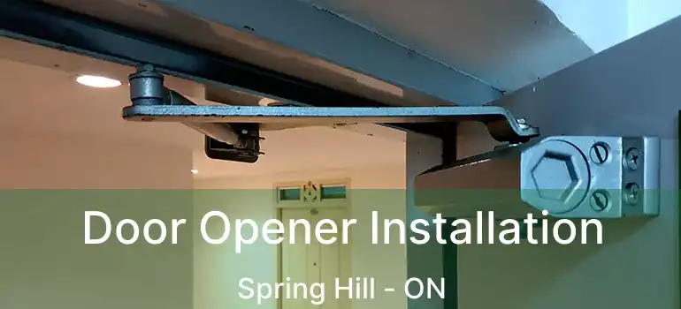  Door Opener Installation Spring Hill - ON