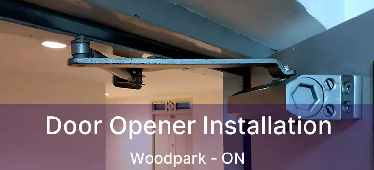  Door Opener Installation Woodpark - ON