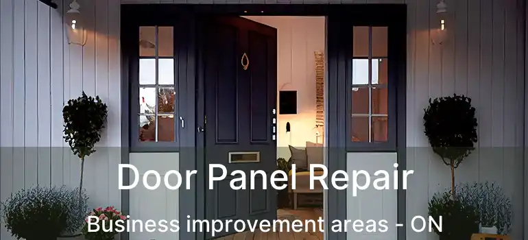  Door Panel Repair Business improvement areas - ON