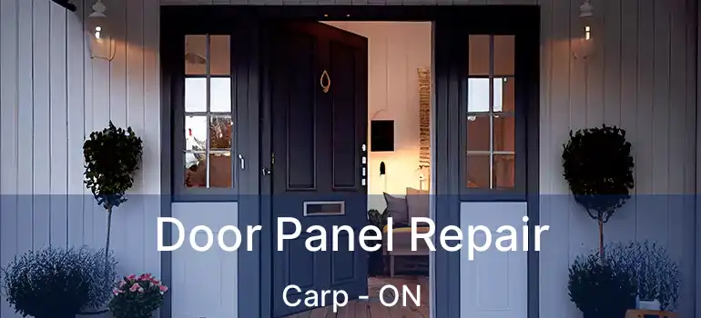  Door Panel Repair Carp - ON