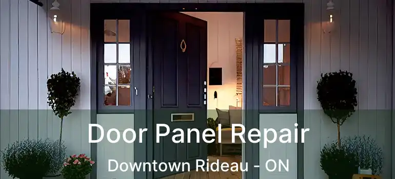  Door Panel Repair Downtown Rideau - ON