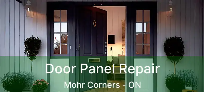  Door Panel Repair Mohr Corners - ON