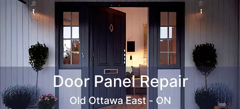  Door Panel Repair Old Ottawa East - ON