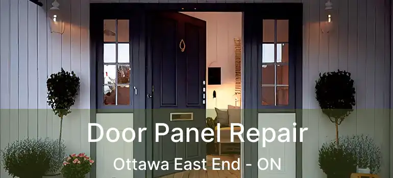  Door Panel Repair Ottawa East End - ON