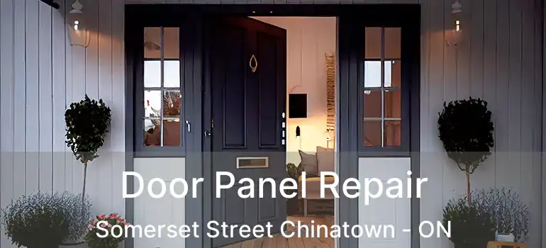  Door Panel Repair Somerset Street Chinatown - ON