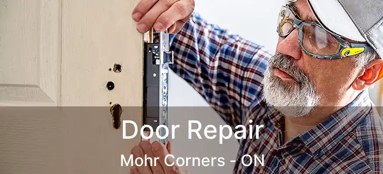 Door Repair Mohr Corners - ON