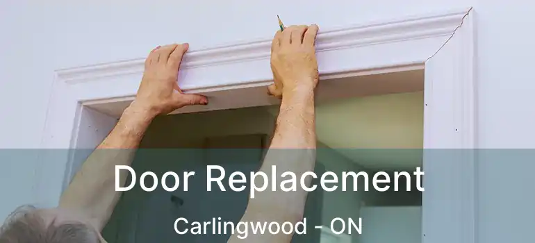  Door Replacement Carlingwood - ON