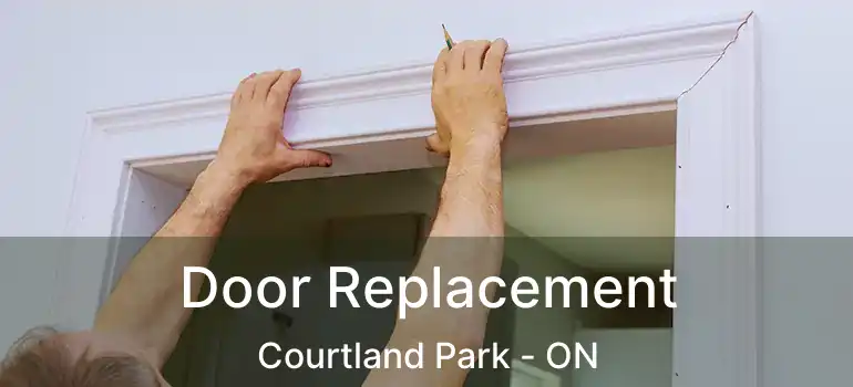 Door Replacement Courtland Park - ON