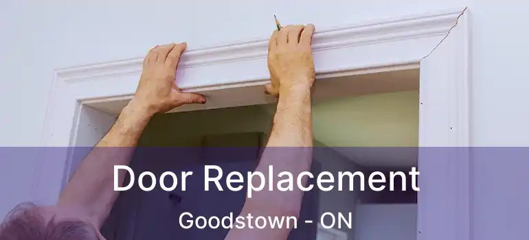  Door Replacement Goodstown - ON