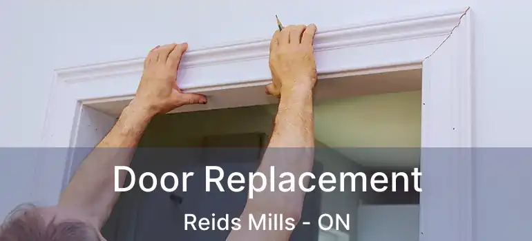 Door Replacement Reids Mills - ON