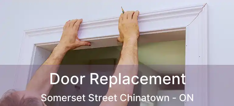 Door Replacement Somerset Street Chinatown - ON