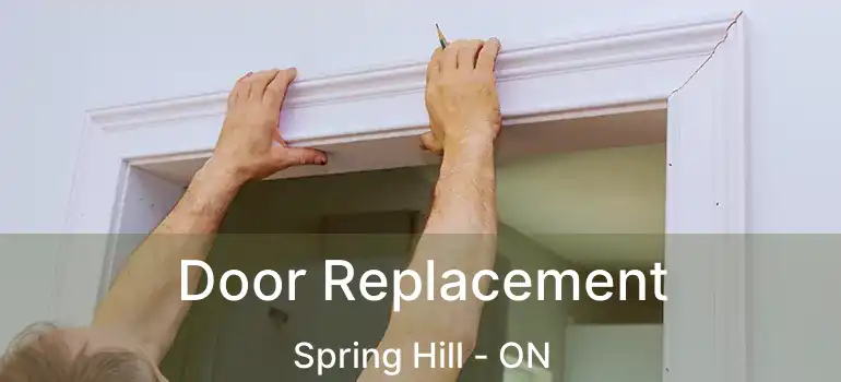 Door Replacement Spring Hill - ON