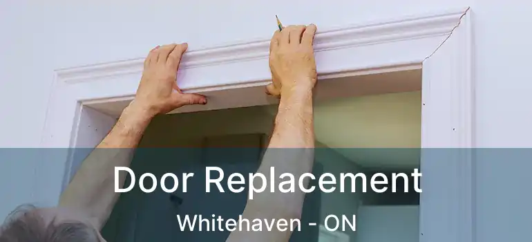  Door Replacement Whitehaven - ON