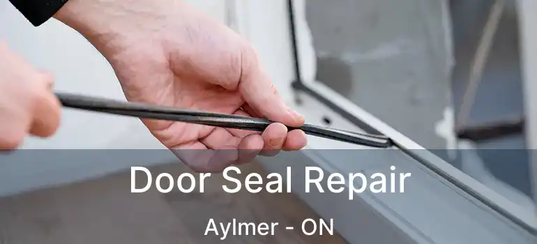  Door Seal Repair Aylmer - ON