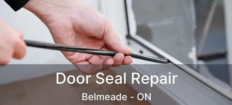 Door Seal Repair Belmeade - ON
