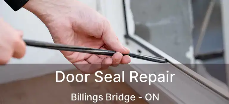  Door Seal Repair Billings Bridge - ON