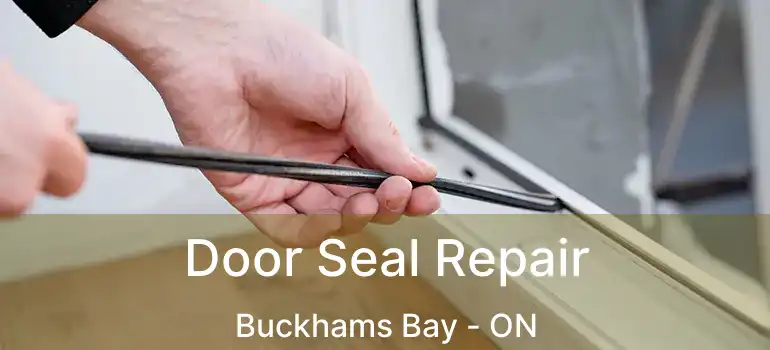  Door Seal Repair Buckhams Bay - ON