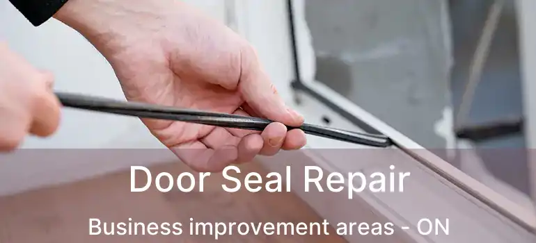  Door Seal Repair Business improvement areas - ON