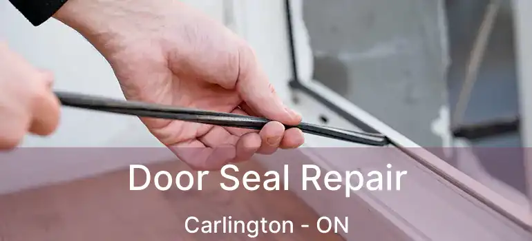  Door Seal Repair Carlington - ON