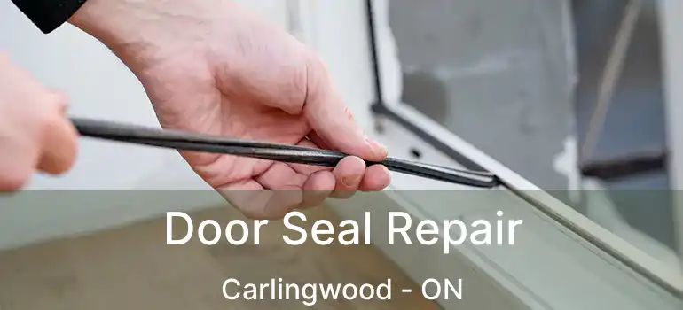  Door Seal Repair Carlingwood - ON