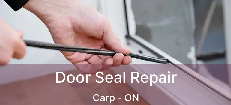 Door Seal Repair Carp - ON