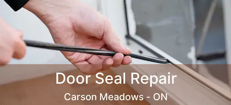 Door Seal Repair Carson Meadows - ON