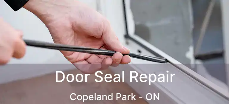 Door Seal Repair Copeland Park - ON