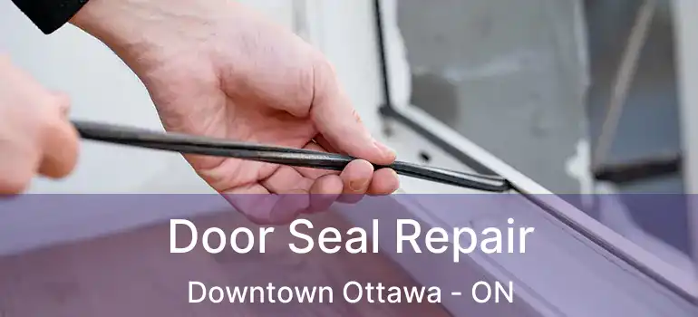  Door Seal Repair Downtown Ottawa - ON