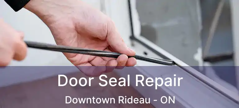  Door Seal Repair Downtown Rideau - ON