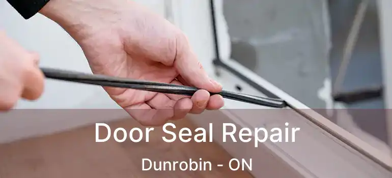  Door Seal Repair Dunrobin - ON