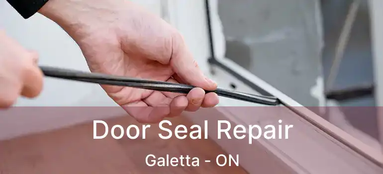  Door Seal Repair Galetta - ON