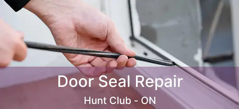  Door Seal Repair Hunt Club - ON