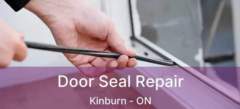  Door Seal Repair Kinburn - ON
