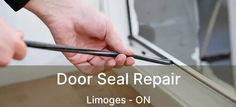  Door Seal Repair Limoges - ON
