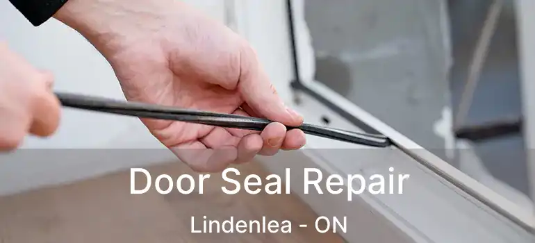 Door Seal Repair Lindenlea - ON