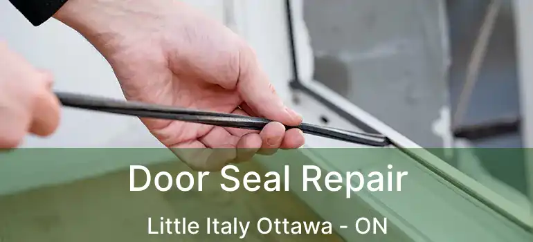  Door Seal Repair Little Italy Ottawa - ON