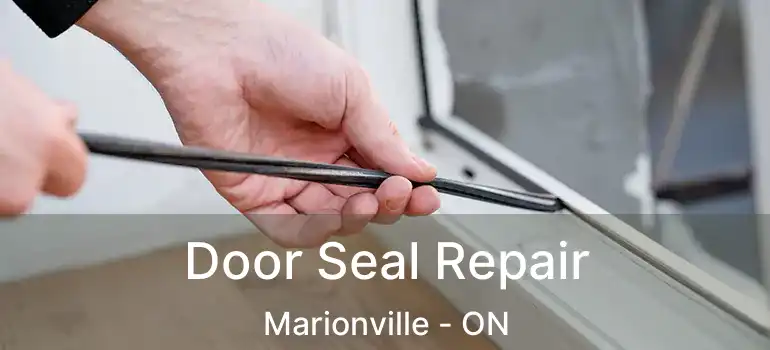  Door Seal Repair Marionville - ON