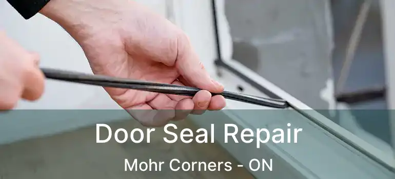 Door Seal Repair Mohr Corners - ON